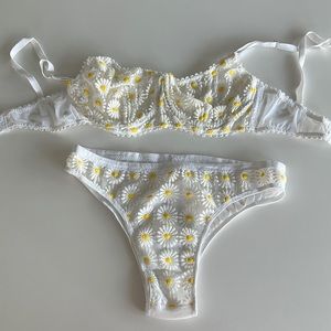 NWOT Never Worn Daisy Underwear Set